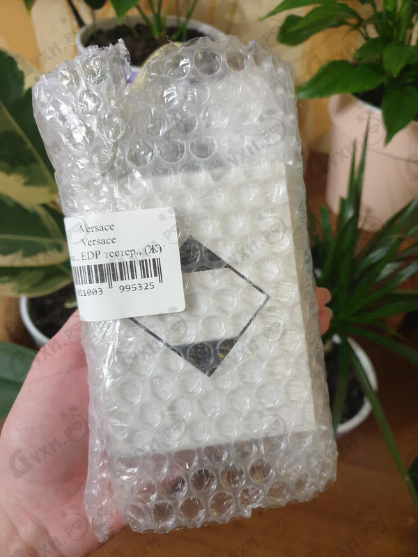 Купить Versace от Versace