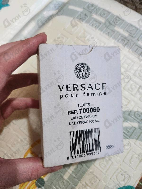 Отзывы Versace Versace