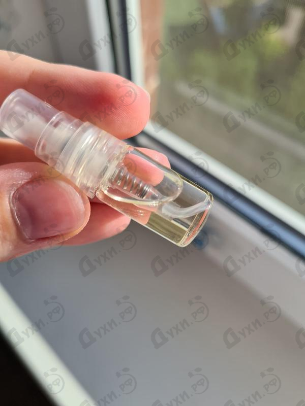 Купить Versace Versace