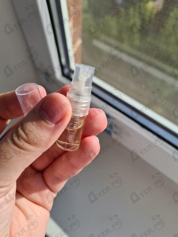 Купить Versace Versace