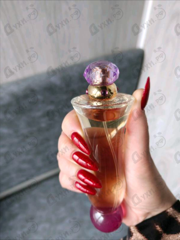 Отзывы Versace Woman