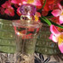 Парфюмерия Woman от Versace Отзывы Versace Woman