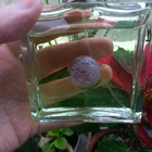 Отзывы Versace Versense