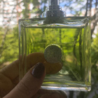 Отзывы Versace Versense