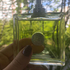 Купить Versace Versense Парфюмерия Versense от Versace