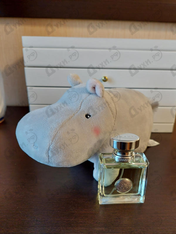 Купить Versense от Versace