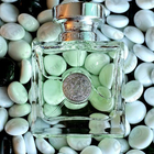 Отзывы Versace Versense