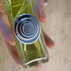 Отзыв Versace Versense