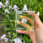 Отзывы Versace Versense