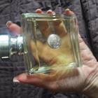 Отзывы Versace Versense