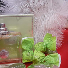 Отзывы Versace Versense