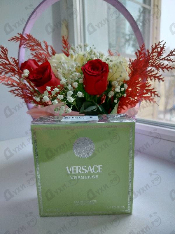 Отзывы Versace Versense
