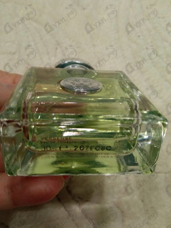 Отзывы Versace Versense
