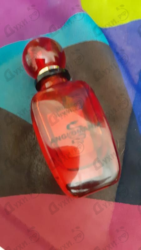 Парфюмерия Vivienne Westwood Anglomania Купить Anglomania от Vivienne Westwood