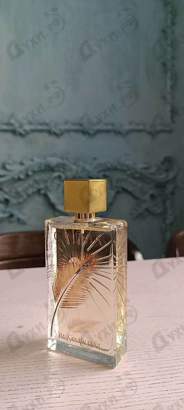 Отзывы Yves Saint Laurent Cinema Scenario D'ete