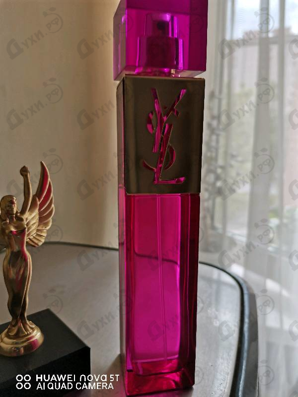 Купить Yves Saint Laurent Elle