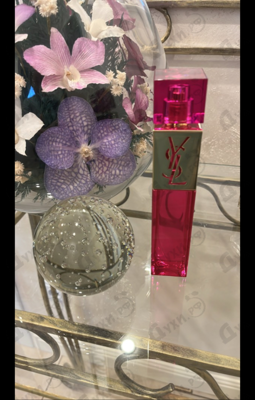 Купить Yves Saint Laurent Elle