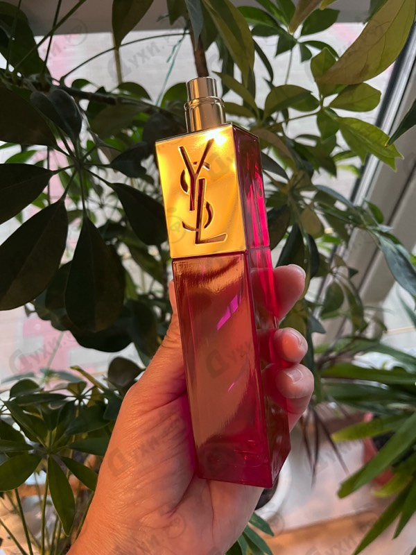 Парфюмерия Elle от Yves Saint Laurent