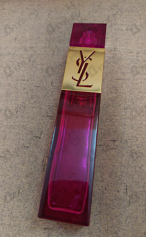 Купить Yves Saint Laurent Elle