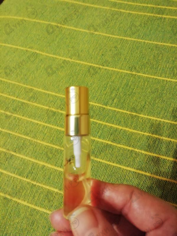 Отзыв Yves Saint Laurent Y Парфюмерия Y от Yves Saint Laurent
