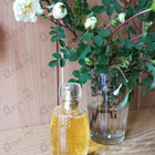 Отзывы Yves Saint Laurent Yvresse