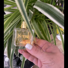 Парфюм Yves Saint Laurent Yvresse