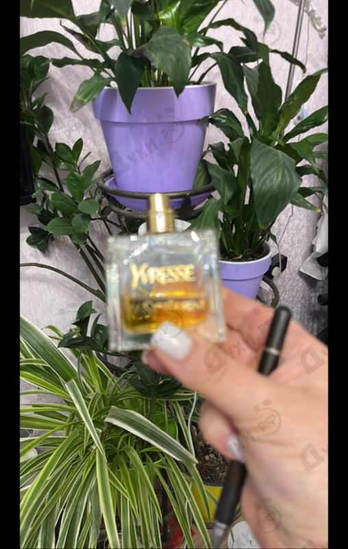Купить Yvresse от Yves Saint Laurent