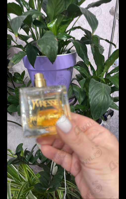 Духи Yvresse от Yves Saint Laurent
