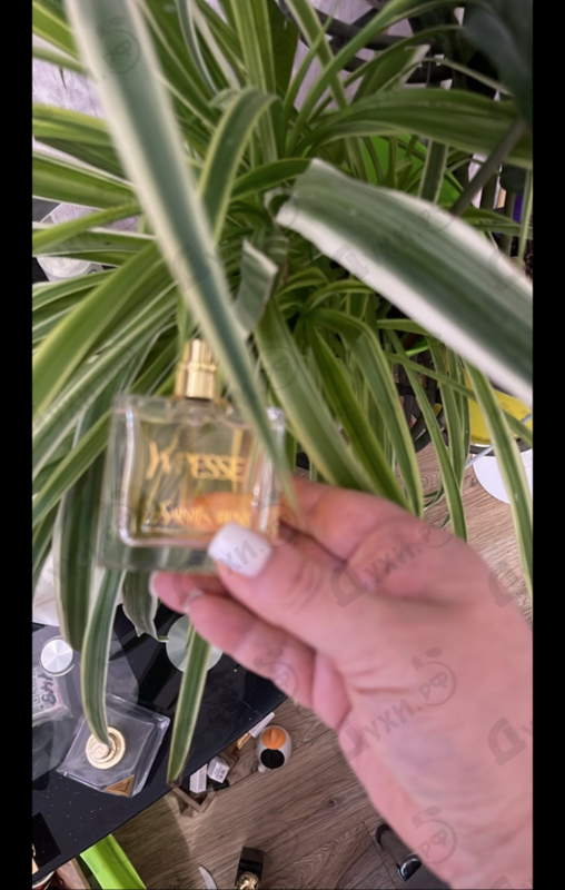 Купить Yvresse от Yves Saint Laurent