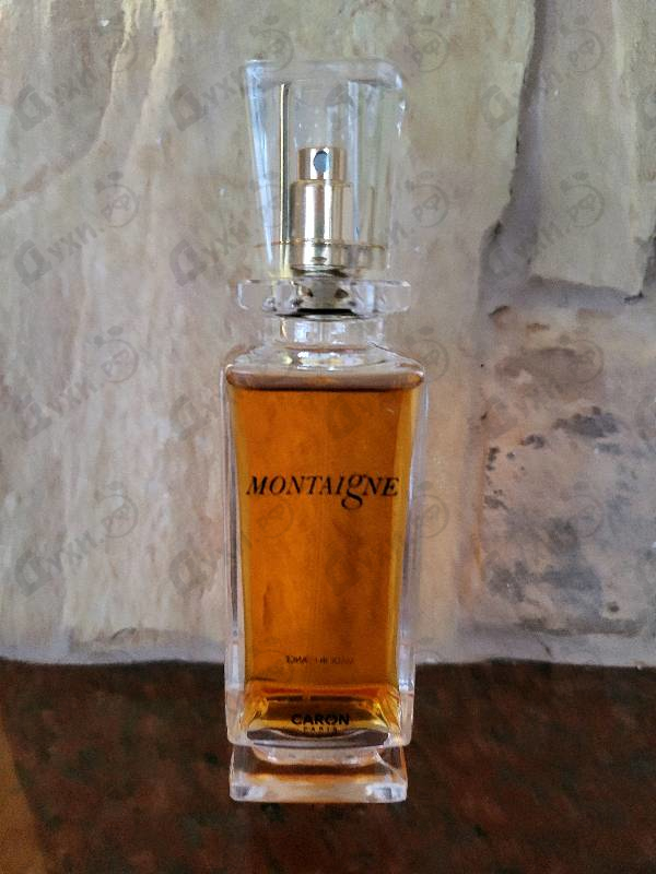 Купить Caron Montaigne
