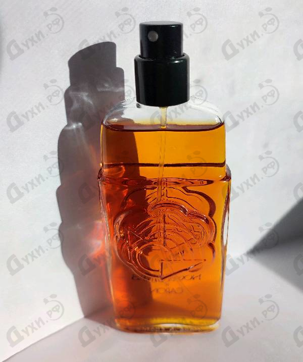 Купить Nocturnes от Caron