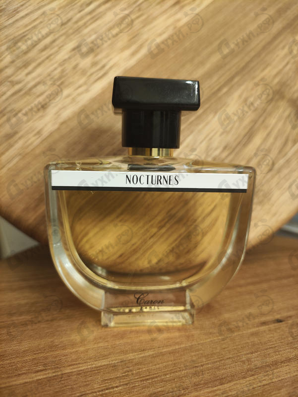 Купить Caron Nocturnes