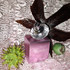 Купить Wish Pink Diamond от Chopard
