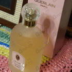 Духи Idylle от Guerlain