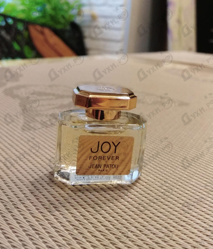 Купить Joy Forever от Jean Patou Отзывы Jean Patou Joy Forever