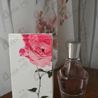 Отзыв Paul Smith Rose