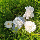 Отзыв Perfumer's Workshop Tea Rose