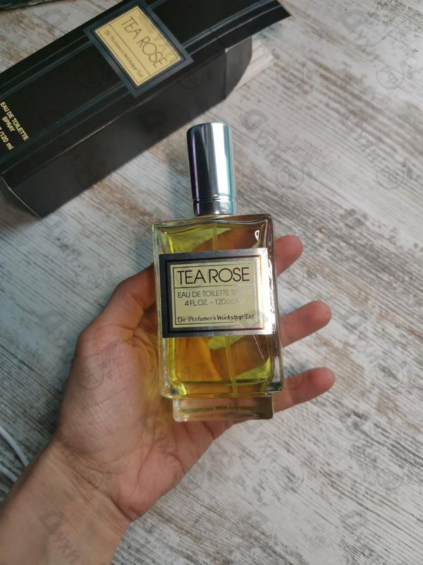 Парфюмерия Perfumer's Workshop Tea Rose Купить Tea Rose от Perfumer's Workshop