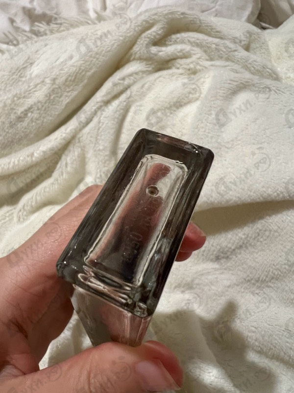 Духи Fille En Aiguilles от Serge Lutens