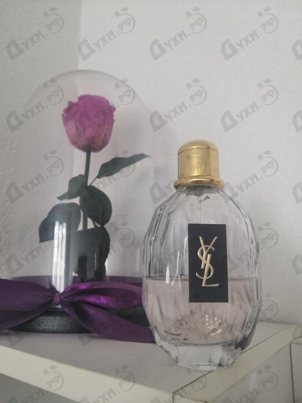 Отзыв Yves Saint Laurent Parisienne