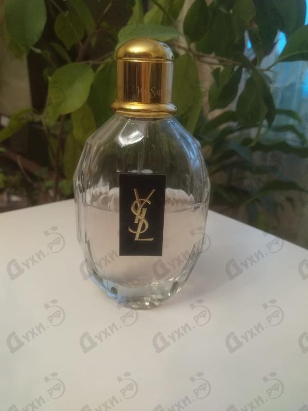 Купить Parisienne от Yves Saint Laurent