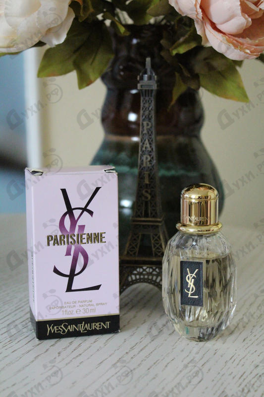 Купить Yves Saint Laurent Parisienne