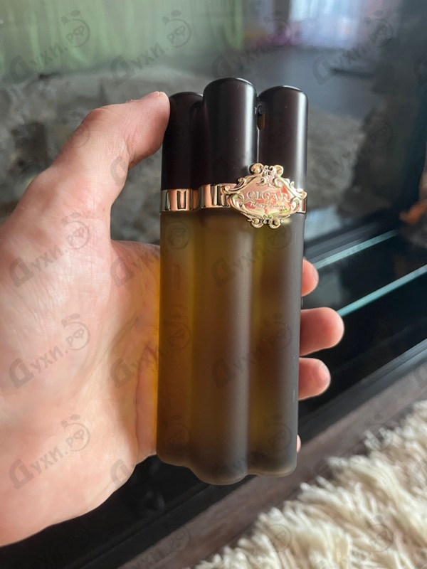 Купить Cigar от Remy Latour