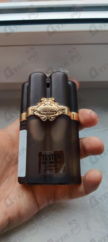 Купить Cigar от Remy Latour