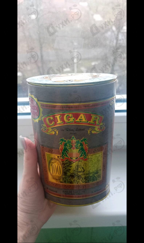Купить Cigar от Remy Latour