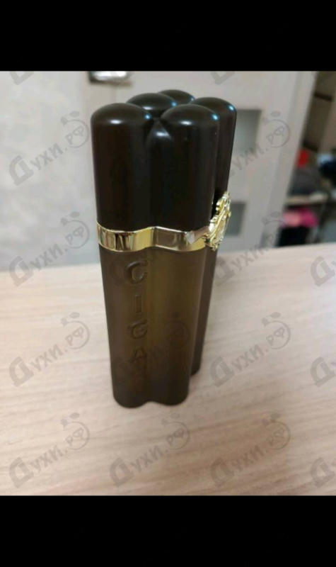 Духи Cigar от Remy Latour
