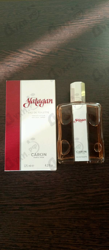 Купить Yatagan от Caron