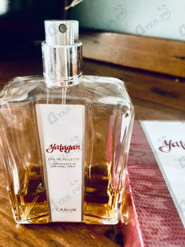 Купить Yatagan от Caron