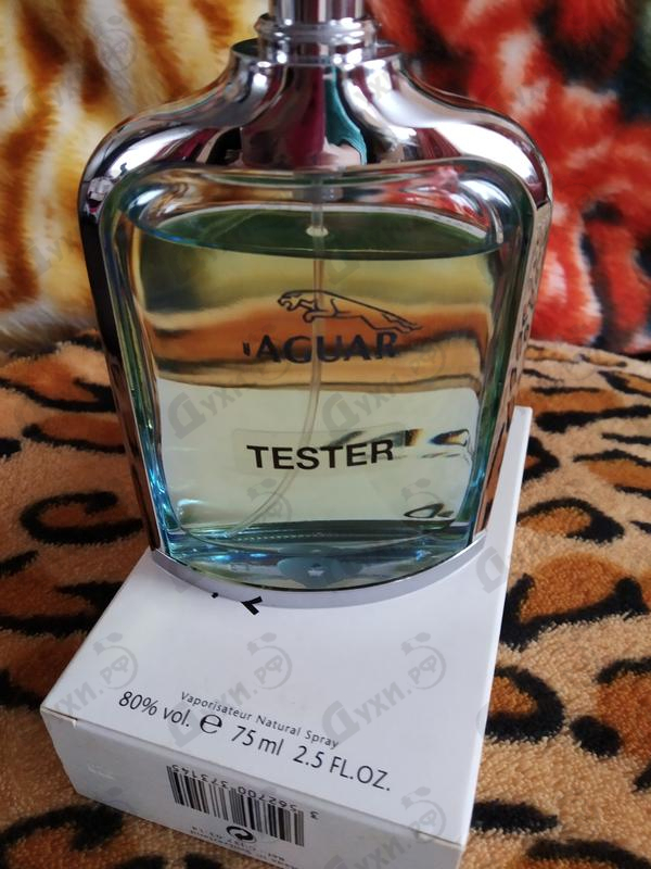 Отзывы Jaguar Blue