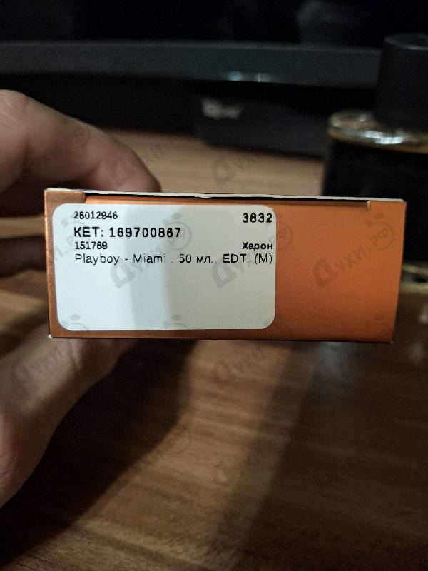 Отзывы Playboy Miami